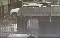 «Ты кто такая?» Незнакомец кулаком ударил девочку по дороге в колледж в Новосибирске