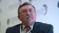 Ульянов сравнил некоторых западных чиновников с клоунами