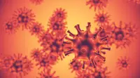 Вирусолог Нетёсов: грипп H3N2 эволюционирует быстрее вакцин