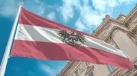 Оппозиция в Австрии потребовала разъяснить провоз груза спецслужб Украины