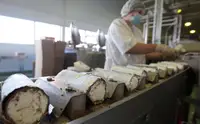 ФНС попросила признать банкротом производителя мороженого «Русский холод»