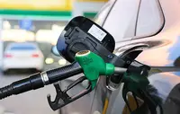 В Свердловской области назвали стабильной ситуацию на топливном рынке