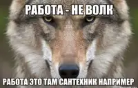 «Я больше не могу работать в ИТ. И что мне с этим делать?»