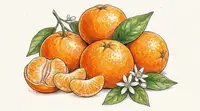 Эксперт Мясникова рассказала, как правильно выбирать мандарины нового урожая