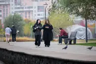Четверть россиян не могут провести без телефона и часа