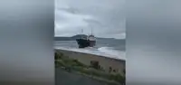 МЧС не обнаружило утечку топлива у теплохода, севшего на мель во Владивостоке