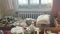 Семью-маугли с четырьмя детьми нашли в полузаброшенном доме в Екатеринбурге