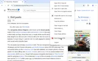Правый клик с памятью: почему я храню счётчик в id пункта меню Chrome