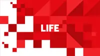 ЛДПР предложила исключить выходные из расчёта оплачиваемого отпуска