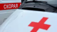 В Краснодарском крае ребёнок впал в кому после нападения сторожевых собак