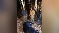 Охотники ликвидировали медведя, который выходил к селу в Забайкалье
