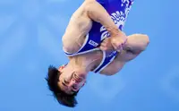 Чемпион России успел получить визу на ЧЕ по спортивной гимнастике