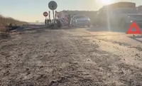 Беглого водителя нашли и задержали за смертельный наезд на девочку у села Мирное