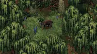 Анонсирован пиксельный ролевой экшен Drova II — Torn Lands