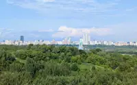 От данных к решениям: как Москва управляет городской экологией