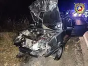Лось отправил троих человек в реанимацию после столкновения с «четыркой» на трассе