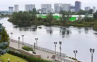 Рыба просто задохнулась: тюменские реки пережили небывалый мор