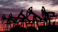 Песков назвал страны Европы активными покупателями российской нефти