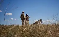 Минобороны сообщило о поражении сухогруза в Черном море