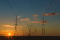 Сложные системы стали устойчивее благодаря беспорядку
