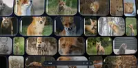Как Google научил крошечную модель понимать текст, картинки, видео и звук: разбираем EmbeddingGemma 2