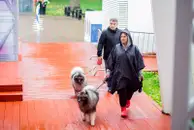 Слякоть, холод и паразиты: Как уберечь питомца от осенних болезней