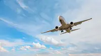В Москву прибыл первый за 1,5 года рейс из Дамаска