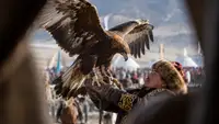 Беркуты, соколы и 15 тысяч зрителей: в Казахстане возродили древние охотничьи традиции