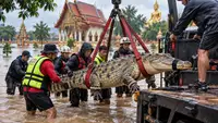400-килограммового крокодила эвакуировали из затопленного храма в Таиланде