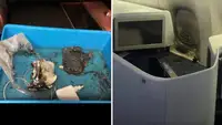 Пауэрбанк экс-министра Нидерландов Эйрлингса взорвался на борту самолёта KLM