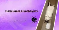 Начинаем в багбаунти: 10 неочевидных уязвимостей S3-интеграций в веб-приложениях