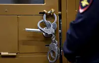 ТАСС: обвиняемому в убийстве доцента Каменевой продлили арест