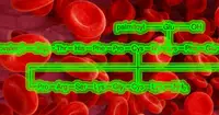 FDA одобрило первый миметик гепсидина для лечения истинной полицитемии