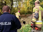 «Чёрный человек» в подвале пугал жителей деревни в Польше, но «нелегал» оказался наглым бобром