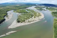 Ученые МГУ впервые получили оценку выноса взвешенных и растворенных форм микроэлементов в арктические моря