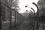 Сбежал с «марша смерти» в 11 лет: В Германии умер бывший узник Освенцима