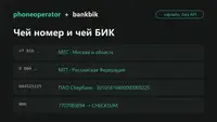 Чей номер и чей БИК: две офлайн-библиотеки на открытых реестрах Минцифры и ЦБ