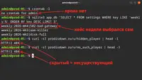 Дежурство недели: еженедельный рейтинг на Flask и SQLite без крона