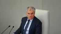 Володин заявил, что Германия не видела от России ничего, кроме добра