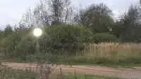 «Растворился в воздухе»: Загадочный золотистый шар переполошил деревню под Ярославлем