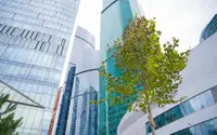 В «Москва-Сити» завершили основные работы первого этапа благоустройства