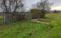 Пенсионерка погибла после нападения медведя у дома в Красноярском крае