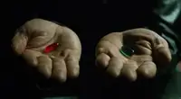 Две зоны мозга решали между собой, стоит ли рисковать, за полсекунды до действия
