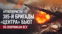 Расчёты САУ «Мста-С» поддерживают штурмовые подразделения на Добропольском направлении