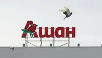 «Галя, у нас отмена!» У «Ашана» сорвалась сделка по продаже российской «дочки»