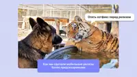 Как мы сделали мобильные релизы более предсказуемыми без потери скорости поставки