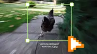 У вас есть 14 саммари с созвонов. И ни одного ответа на вопрос, что происходит с проектом
