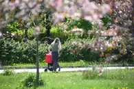 Бабье лето на прощание: Москву ждут солнечные выходные с теплом до +20 °C