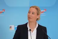 Вайдель призвала Германию отказаться от военной поддержки Украины