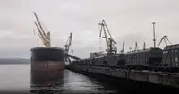 Зерно пошло на Север: Мурманск открыл аграриям новый путь на мировые рынки